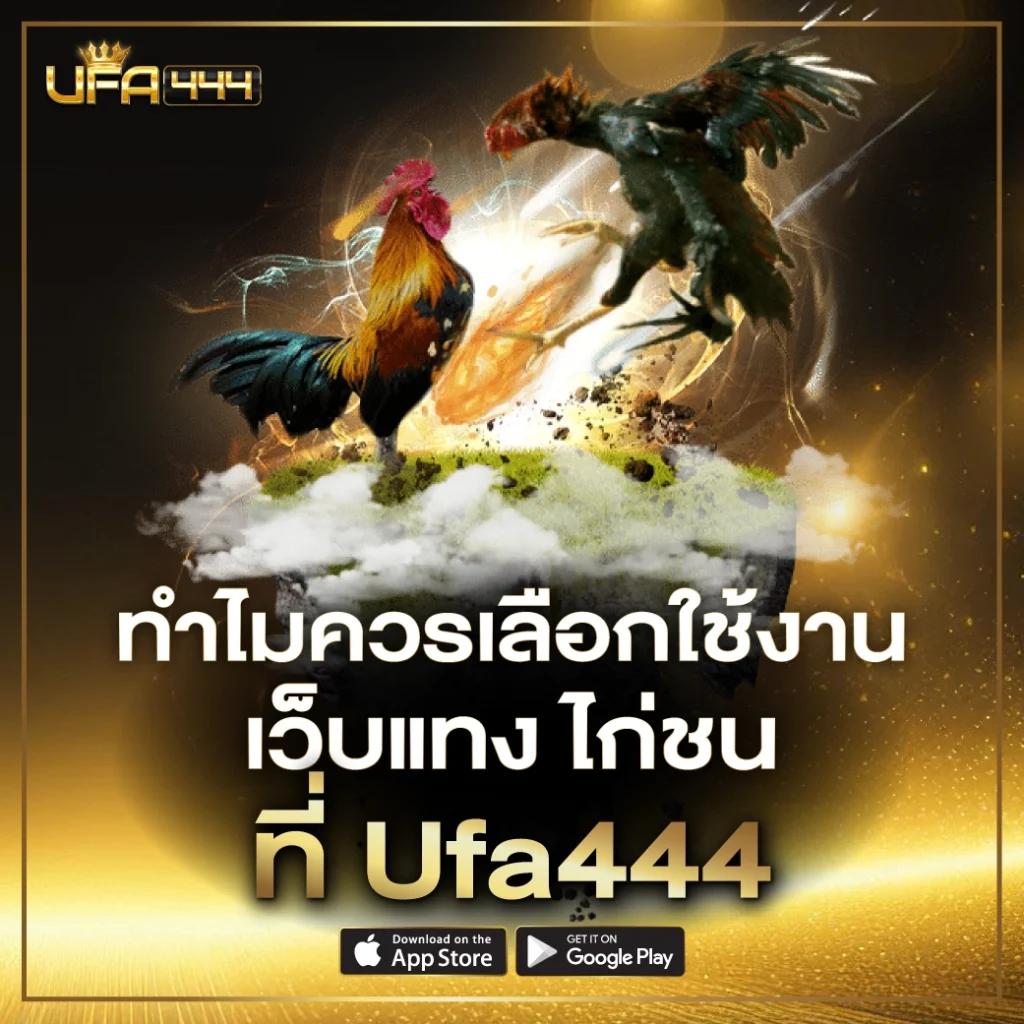 ทำไมควรเลือกใช้งาน เว็บแทง ไก่ชน