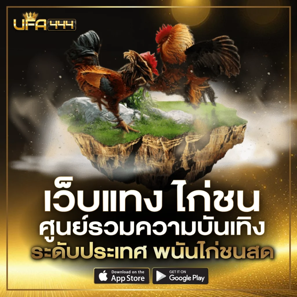 เว็บแทง ไก่ชน 